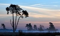 Sunrise Zonopkomst Loonse &amp; Drunenseduinen_1